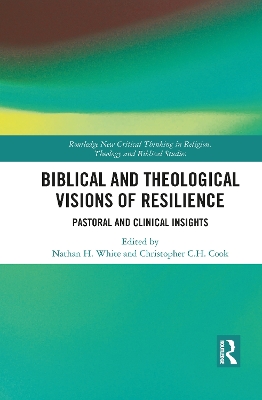 Biblical and Theological Visions of Resilience: Pastoral and Clinical Insights book