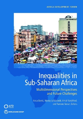 Inequalities in Sub-Saharan Africa: Multidimensional Perspectives and Future Challenges book