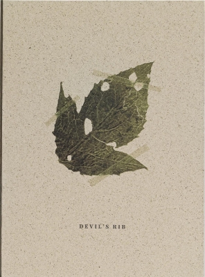 Devil's Rib book