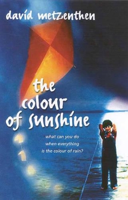 The Colour of Sunshine by David Metzenthen
