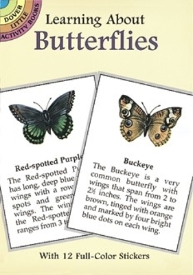 Learning About Butterflies book