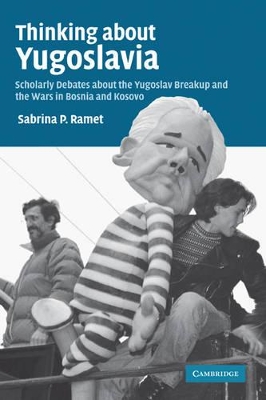 Thinking about Yugoslavia book