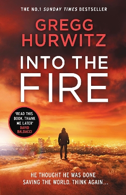 Into the Fire book