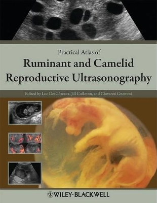 Practical Atlas of Ruminant and Camelid Reproductive Ultrasonography book