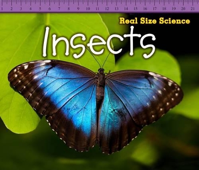 Insects book