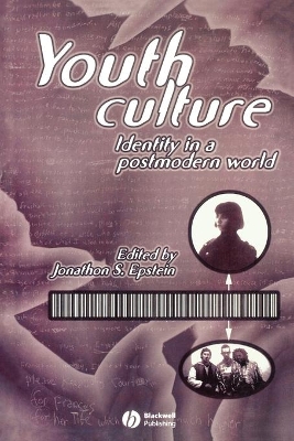 Youth Culture book