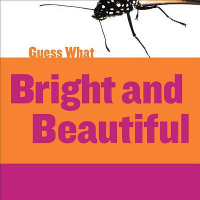 Bright and Beautiful by Felicia Macheske