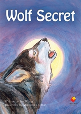 Wolf Secret book