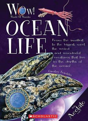 Ocean Life by Carolyn Franklin