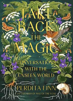 Take Back the Magic: Conversations with the Unseen World by Perdita Finn