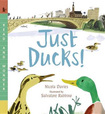 Just Ducks! by Nicola Davies