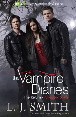 The The Vampire Diaries: Shadow Souls: Book 6 by L.J. Smith