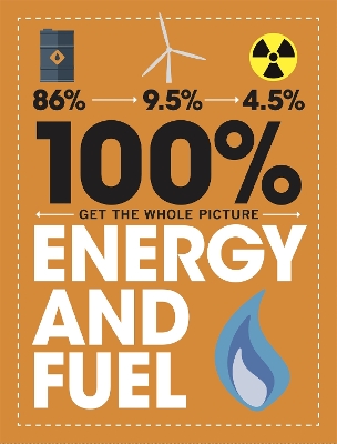 100% Get the Whole Picture: Energy and Fuel by Paul Mason