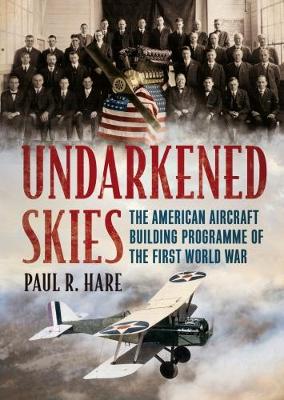 Undarkened Skies book