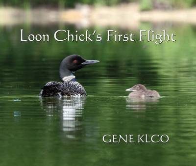 Loon Chick's First Flight book