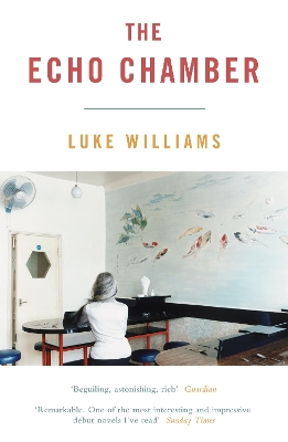 The Echo Chamber book