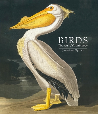 Birds: The Art of Ornithology (Pocket edition) book