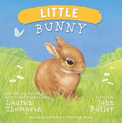 Little Bunny book