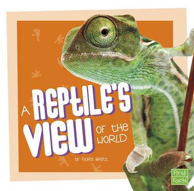 Reptile's View of the World book