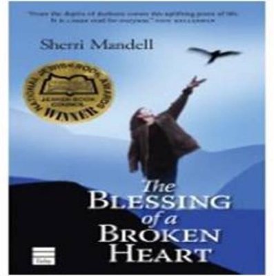 Blessing of a Broken Heart book