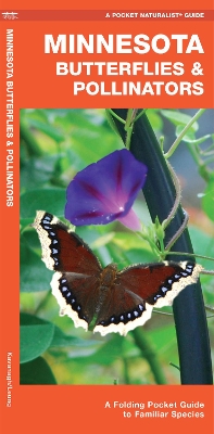 Minnesota Butterflies & Pollinators: A Folding Pocket Guide to Familiar Species by James Kavanagh