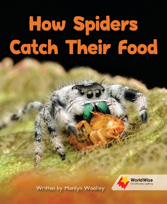 How Spiders Catch Their Food book