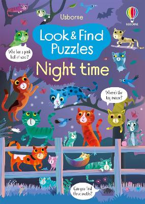 Look and Find Puzzles Night time book