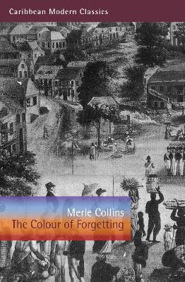 The Colour of Forgetting book