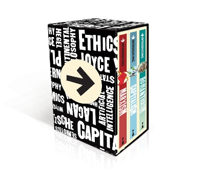 Introducing Graphic Guide Box Set - How To Change The World book