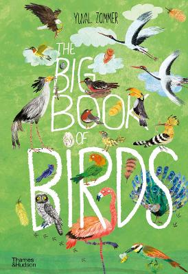 The Big Book of Birds book