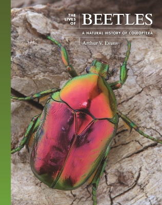 The Lives of Beetles: A Natural History of Coleoptera book