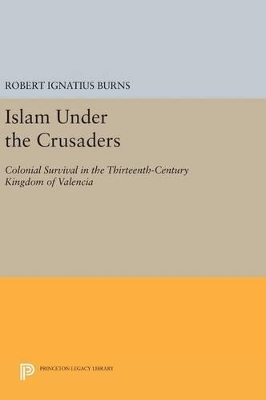 Islam Under the Crusaders book