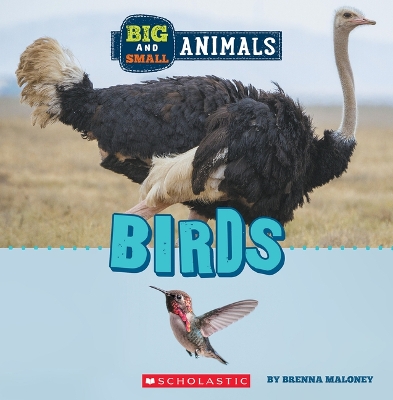 Birds (Wild World: Big and Small Animals) by Brenna Maloney