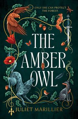 The Amber Owl book