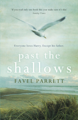 Past the Shallows book