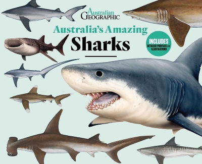 Australia's Amazing Sharks book
