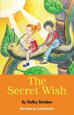 Secret Wish book