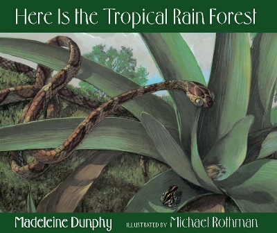 Here Is the Tropical Rain Forest book