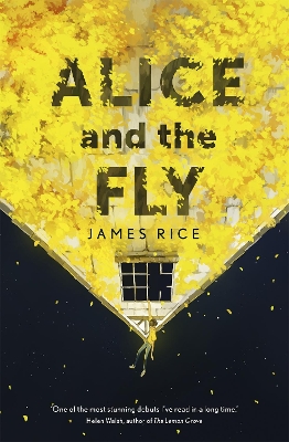 Alice and the Fly book