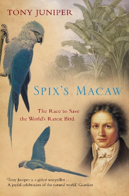 Spix's Macaw book