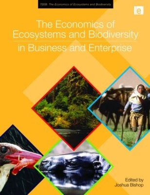 economics of ecosystems and biodiversity in business and enterprise book