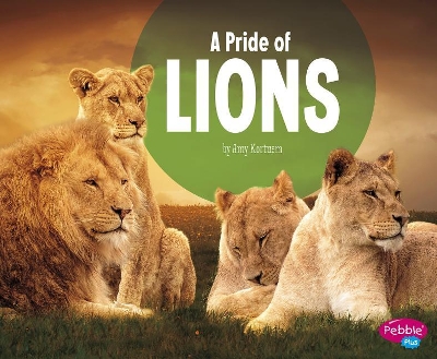A Pride of Lions book