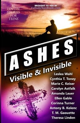 Ashes: Visible & Invisible book