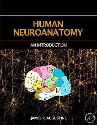 Human Neuroanatomy book