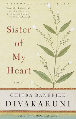 Sister of My Heart: A Novel book