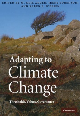 Adapting to Climate Change by W. Neil Adger