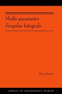 Multi-parameter Singular Integrals. (AM-189), Volume I by Brian Street