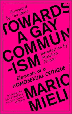 Towards a Gay Communism book