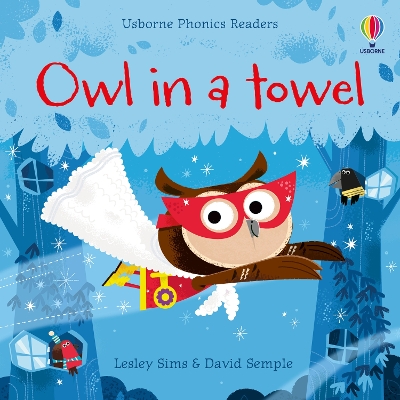 Owl in a Towel book