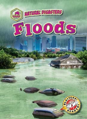 Floods book